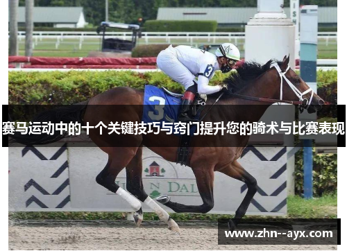 赛马运动中的十个关键技巧与窍门提升您的骑术与比赛表现