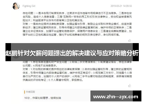 赵鹏针对欠薪问题提出的解决建议与应对策略分析