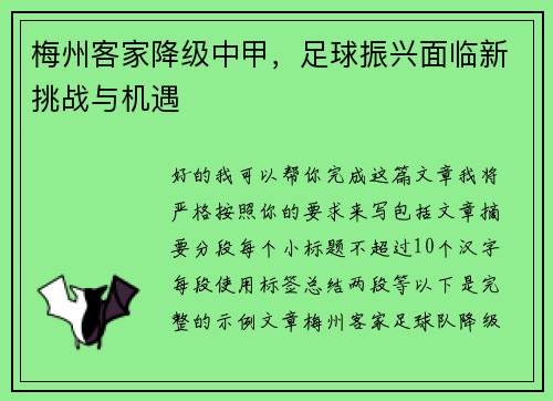 梅州客家降级中甲,足球振兴面临新挑战与机遇 梅州客家降级中甲,足球振兴面临新挑战与机遇